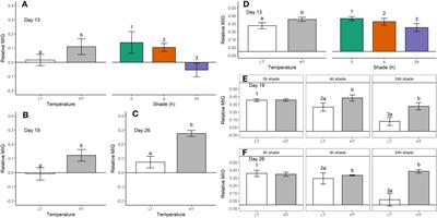 Intermittent shading can moderate coral bleaching on shallow reefs